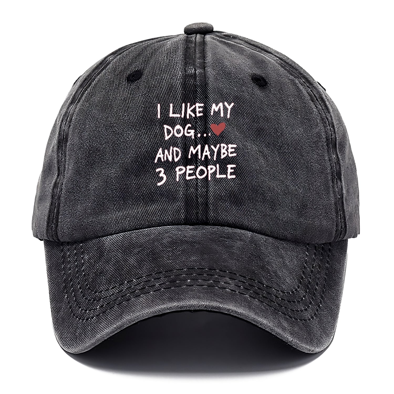 I Like My Dog And Maybe 3 People Classic Cap